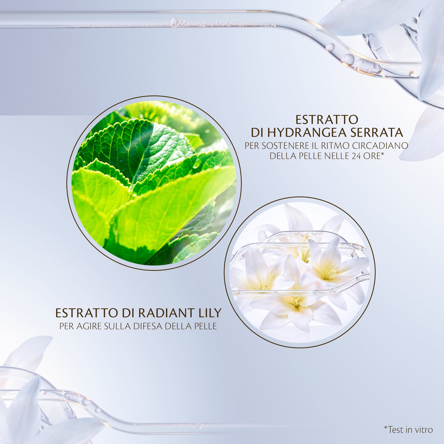 Clé de Peau Beauté Protective Day Emulsion