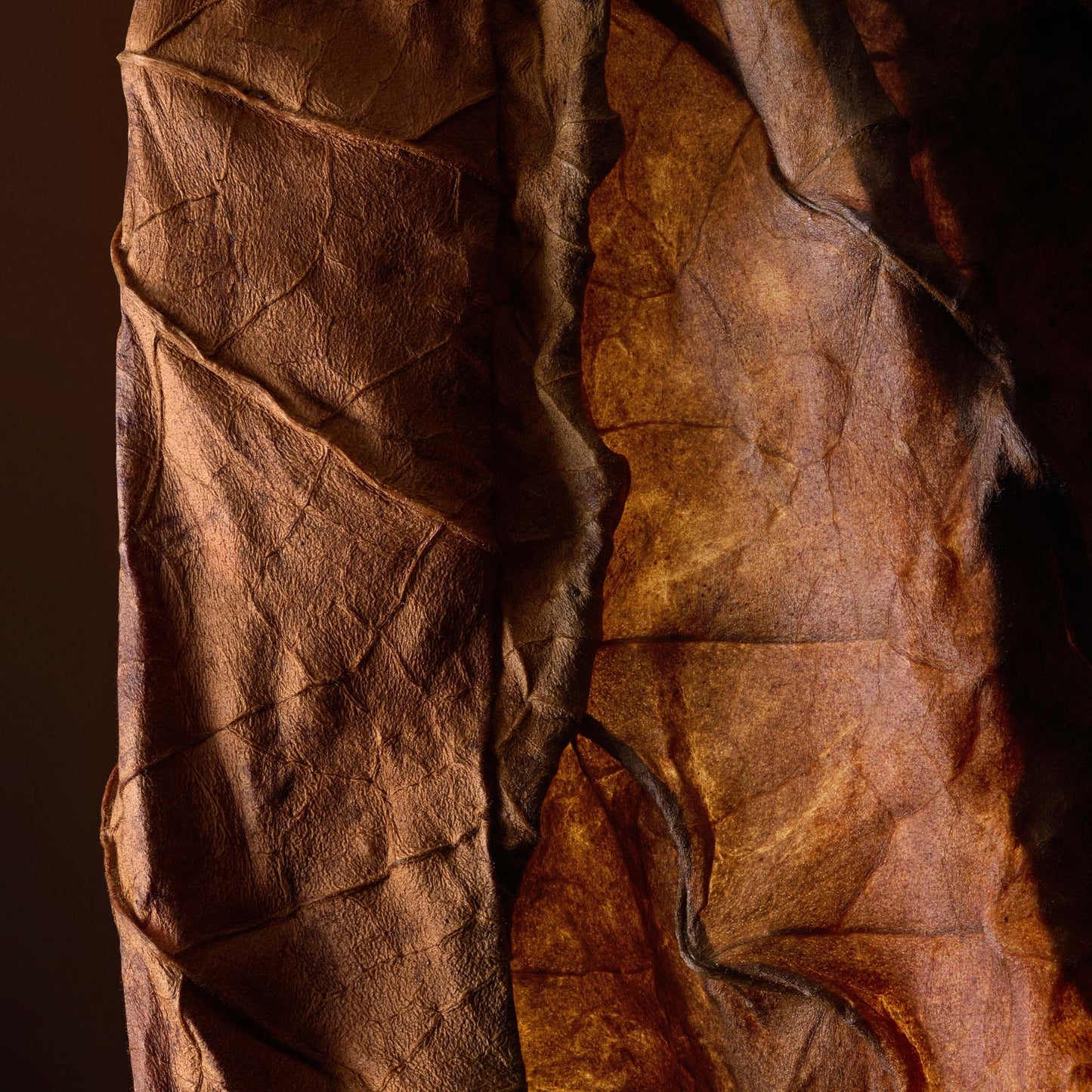 Infiniment Coty Paris Après L'Amour Parfum