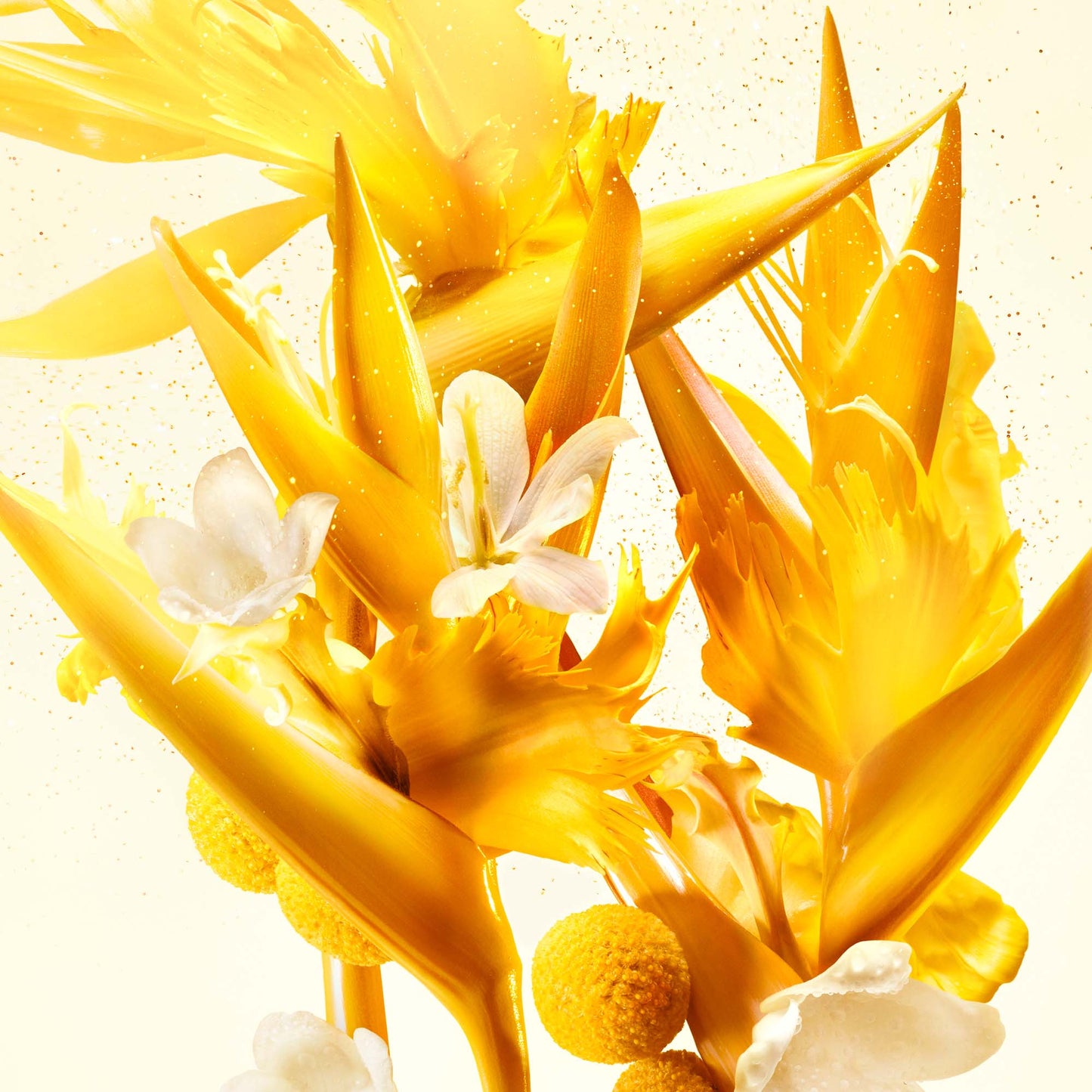 Infiniment Coty Paris J'ai Trois Amours Parfum