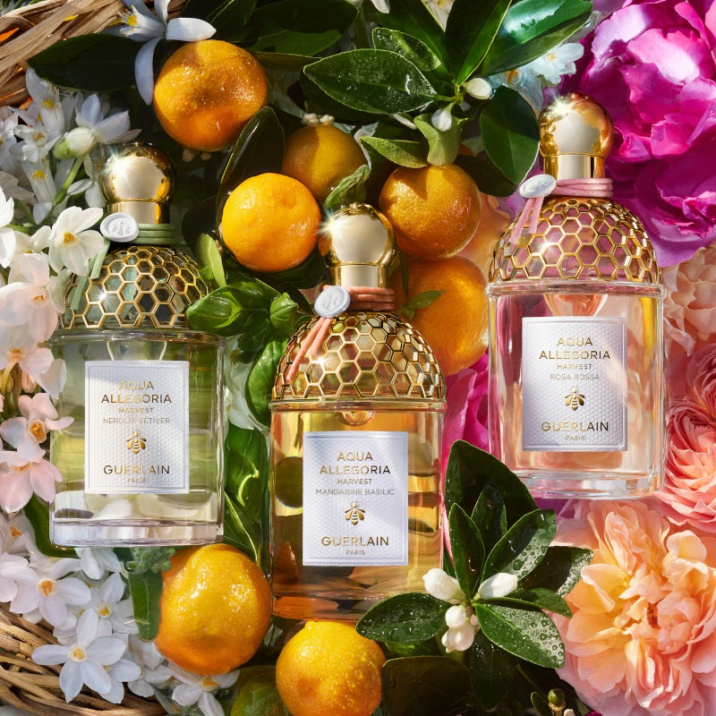 Aqua Allegoria Mandarine Basilic Harvest