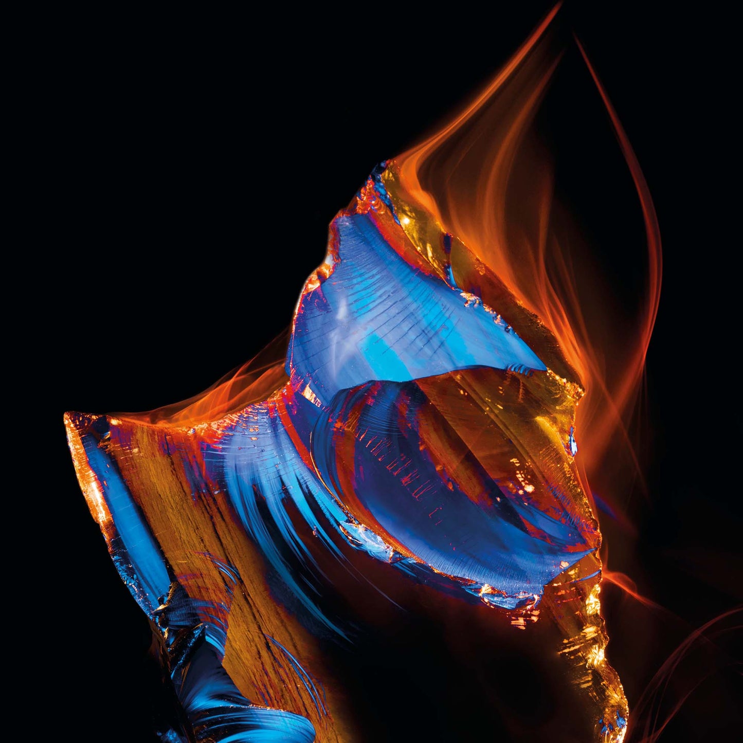 Infiniment Coty Paris Noir Encens Parfum