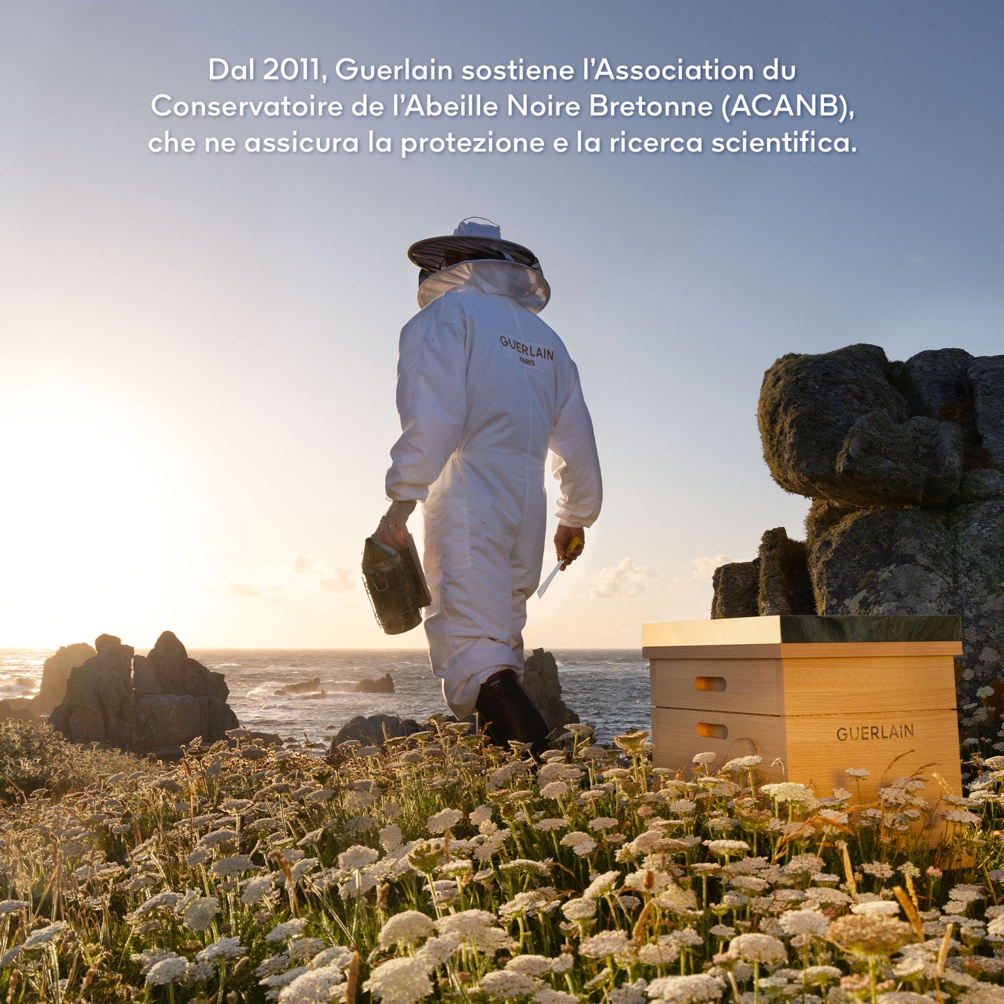 Abeille Royale Huile Démaquillante Anti-Pollution