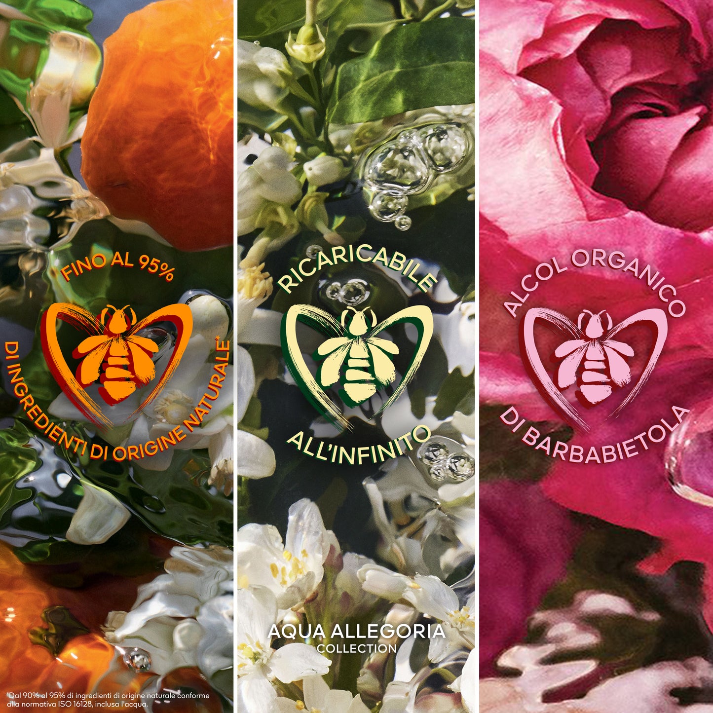 Aqua Allegoria Mandarine Basilic Forte Confezione
