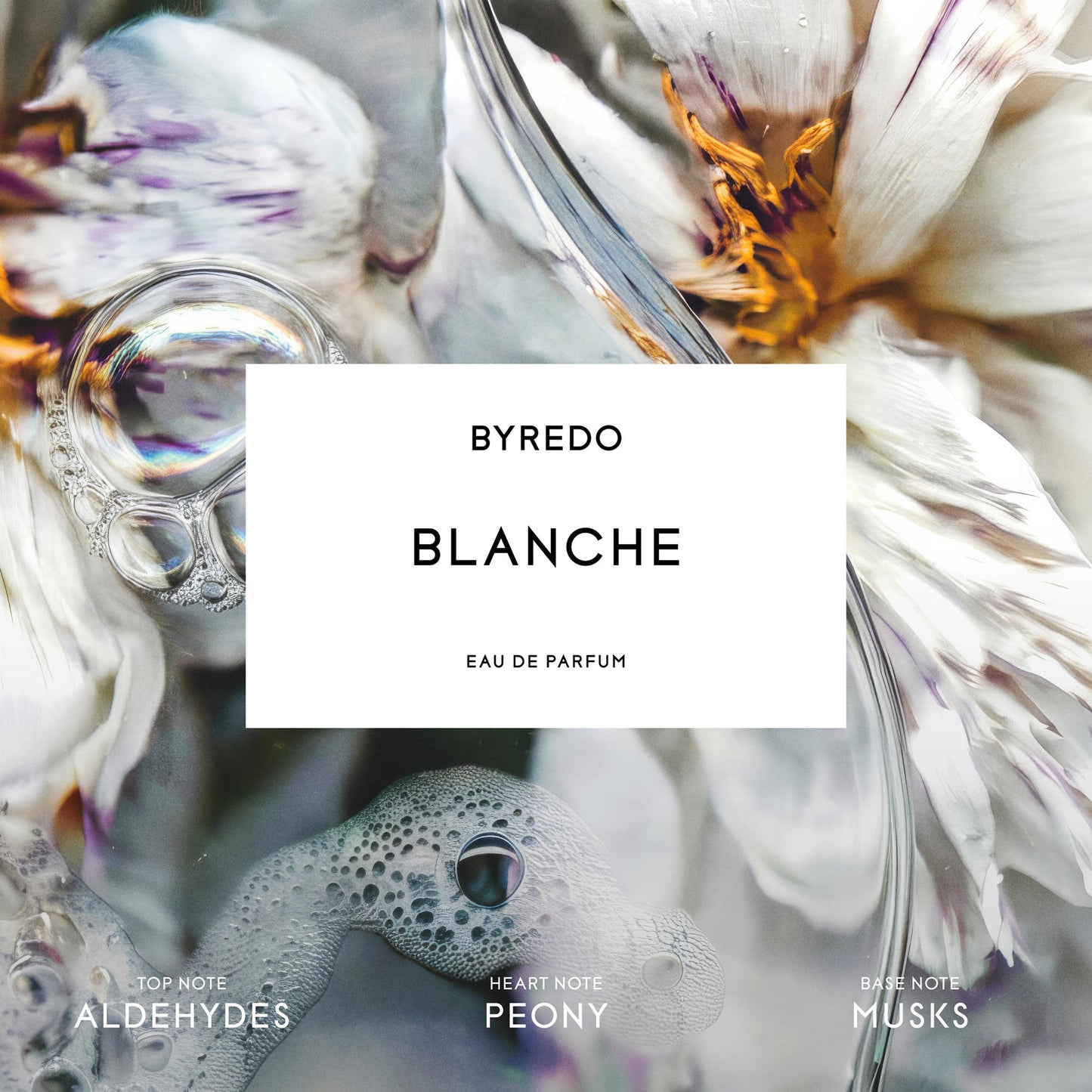Blanche Brume Pour Le Corps