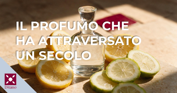 Flacone di profumo circondato da fette di limone e bergamotto, natura morta luminosa