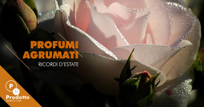 Profumi agrumati donna: ricordi d’estate