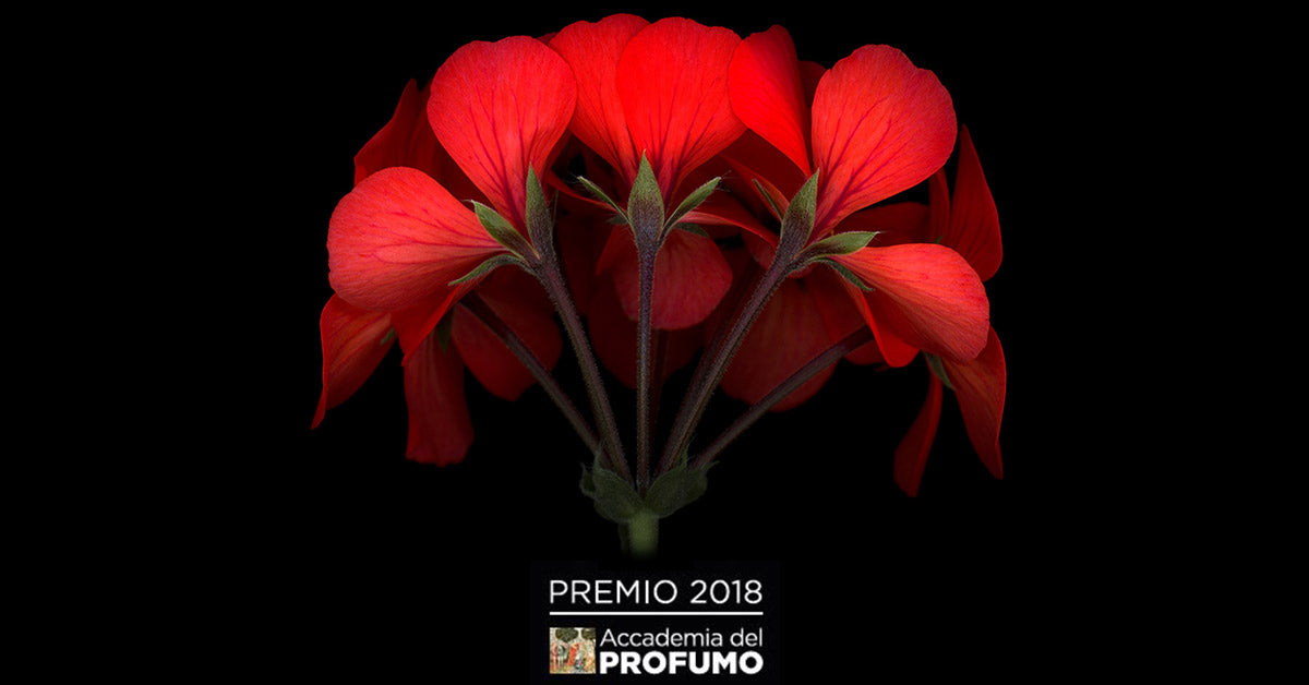 Vota e Vinci il profumo dell’anno – edizione 2018