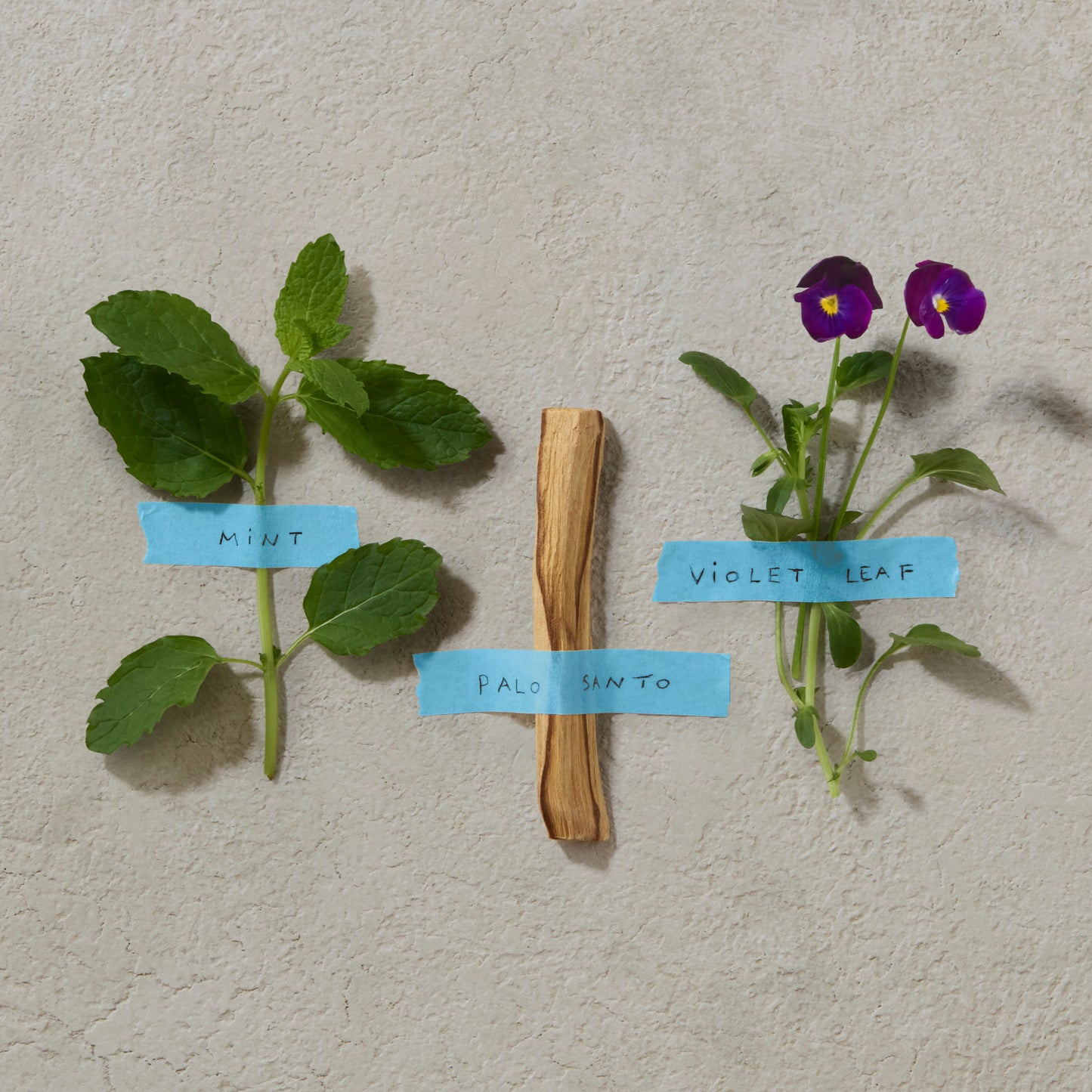 Penhaligon's Bold Blend Eau de Parfum