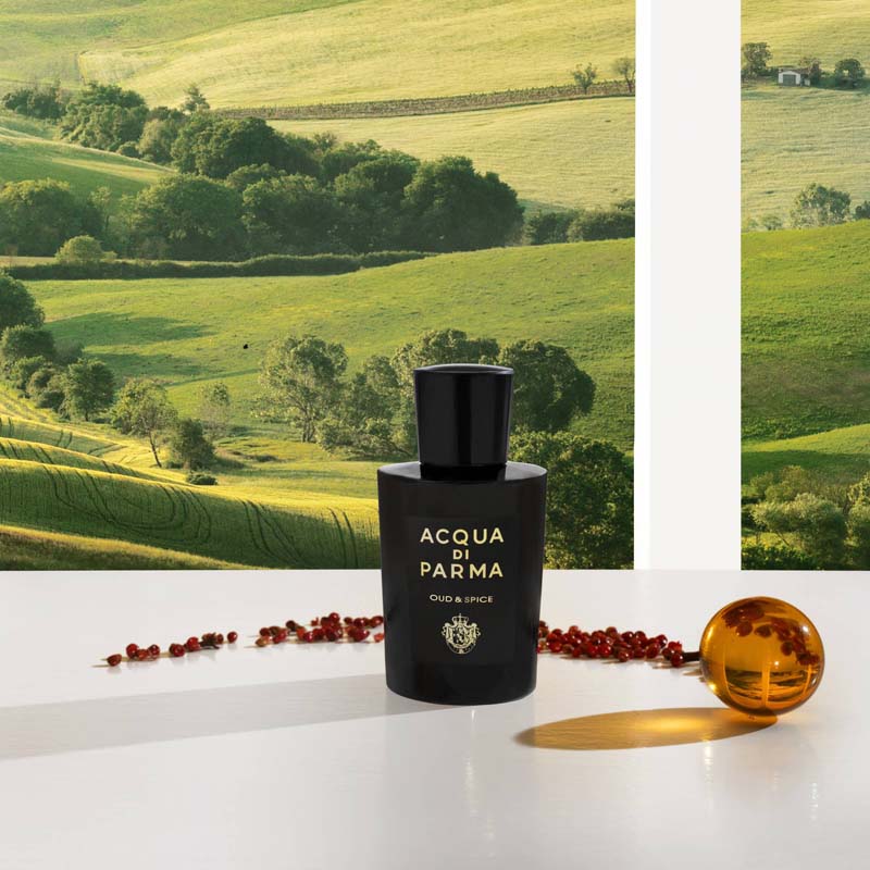 Acqua di Parma Oud & Spice