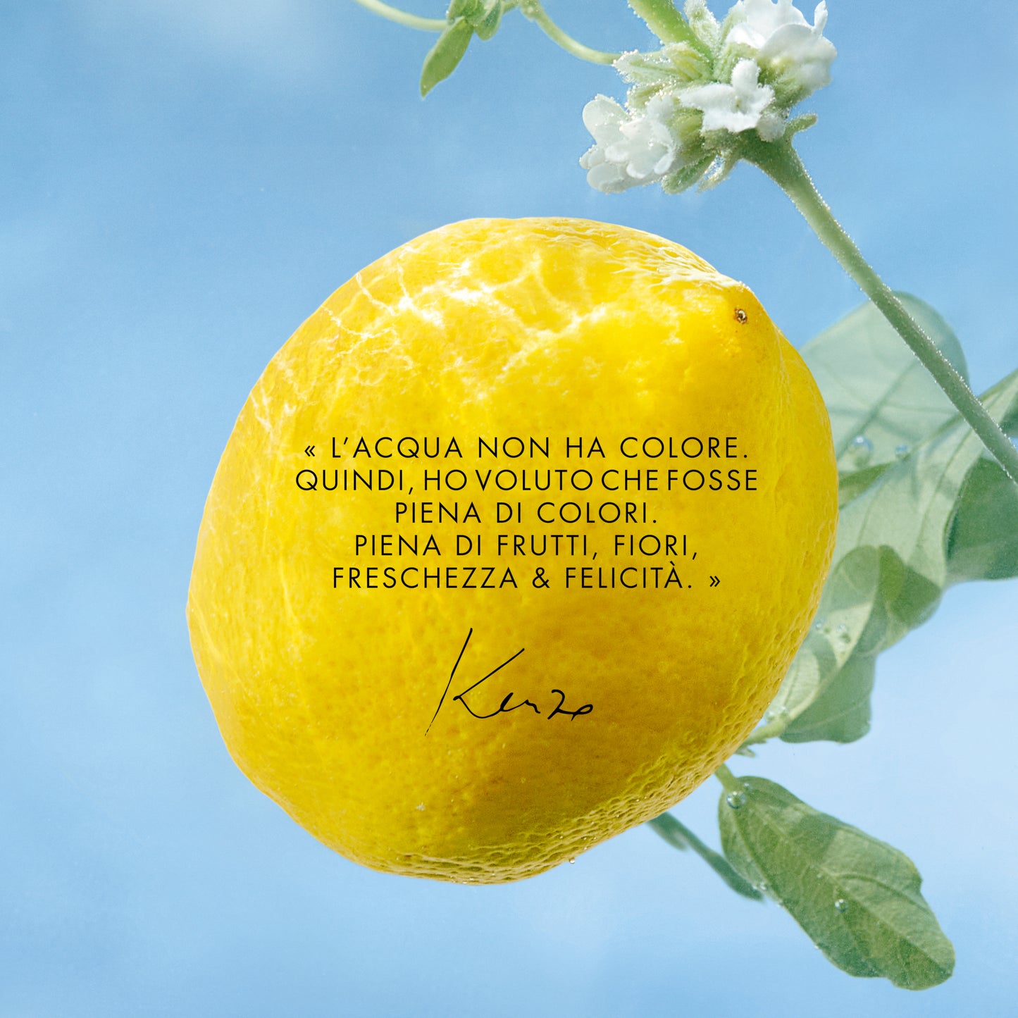Kenzo L'Eau Pure