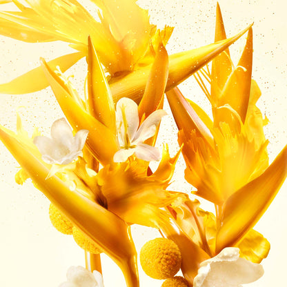 Infiniment Coty Paris J'ai Trois Amours Parfum