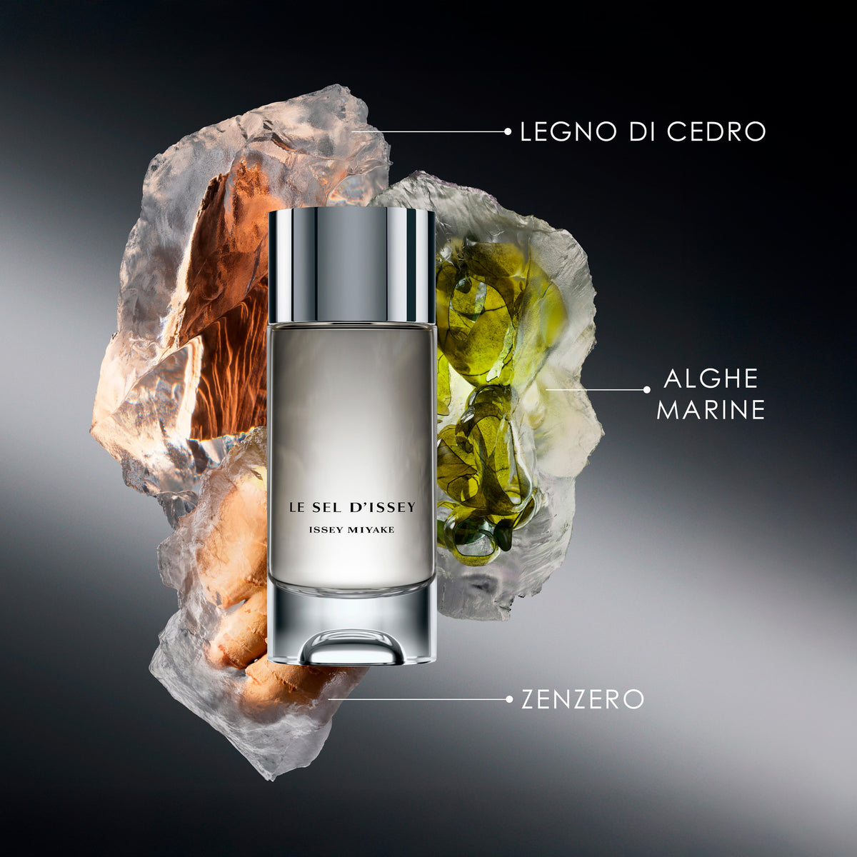 Le Sel d’Issey Eau de Toilette Cofanetto