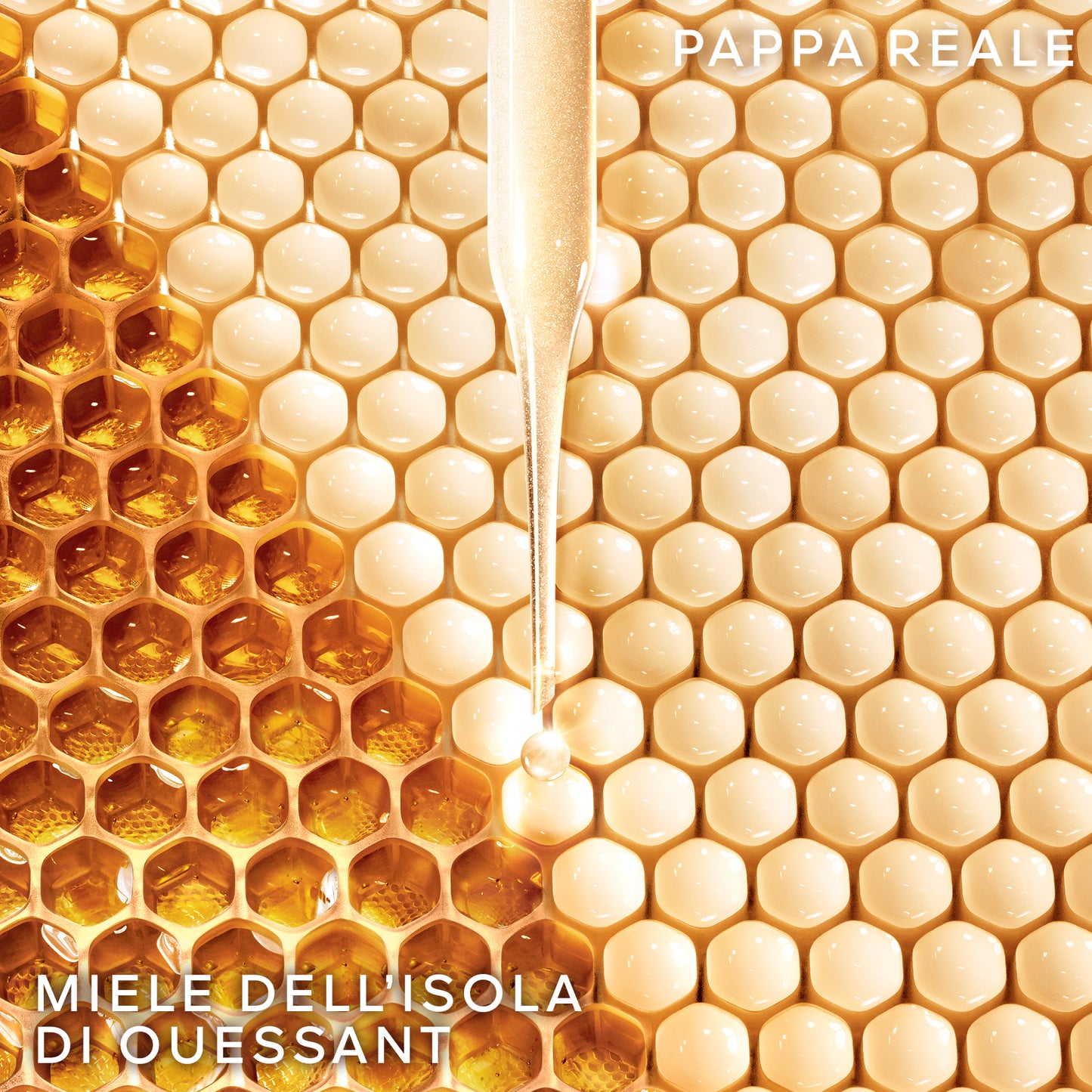 Abeille Royale Huile Démaquillante Anti-Pollution