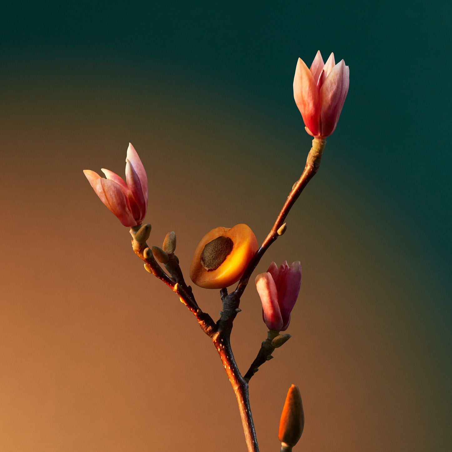 Penhaligon's Vra Vra Vroom - Potions