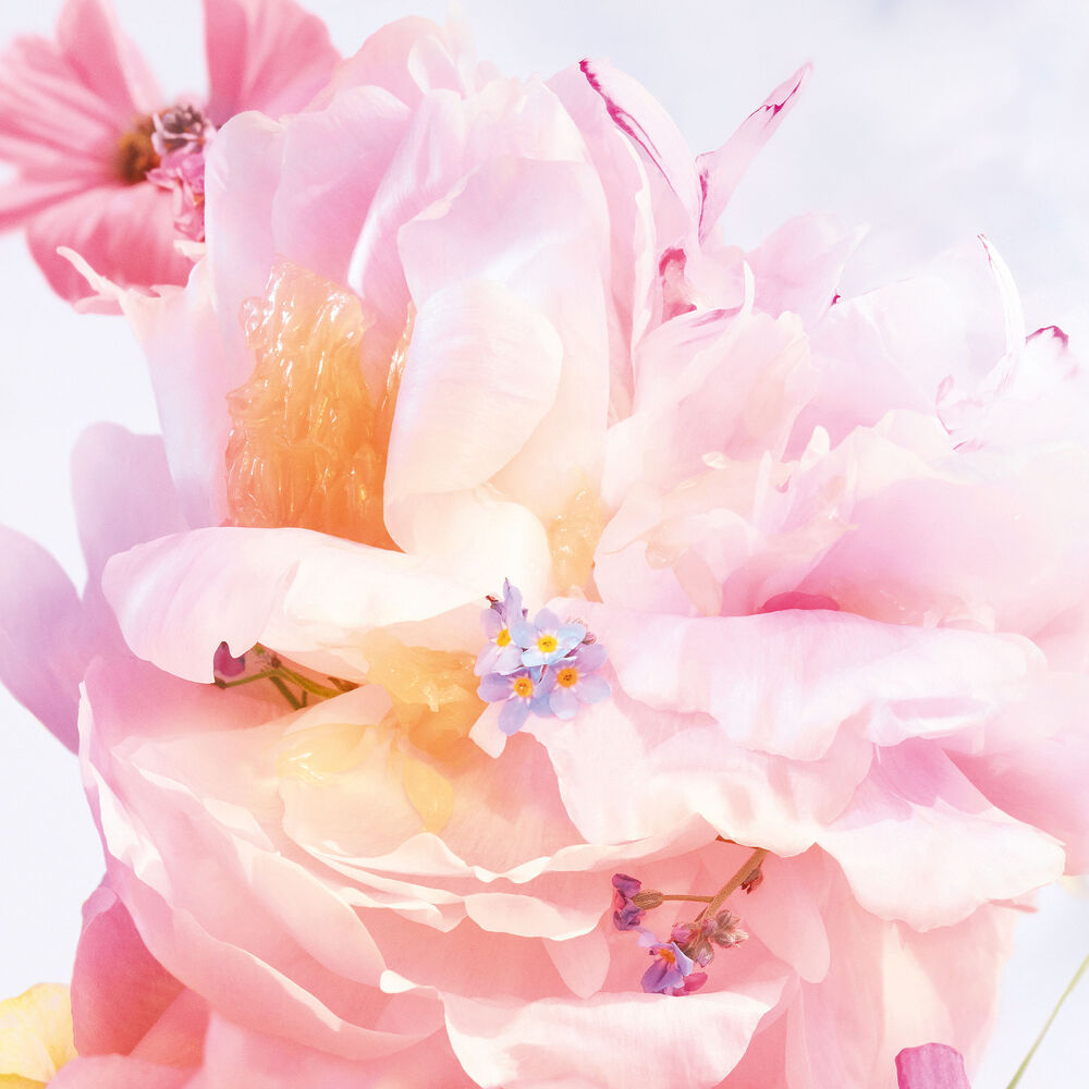 Miss Dior Blooming Bouquet Roller Pearl
