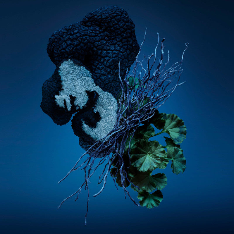 Bad Boy Cobalt 150 ML