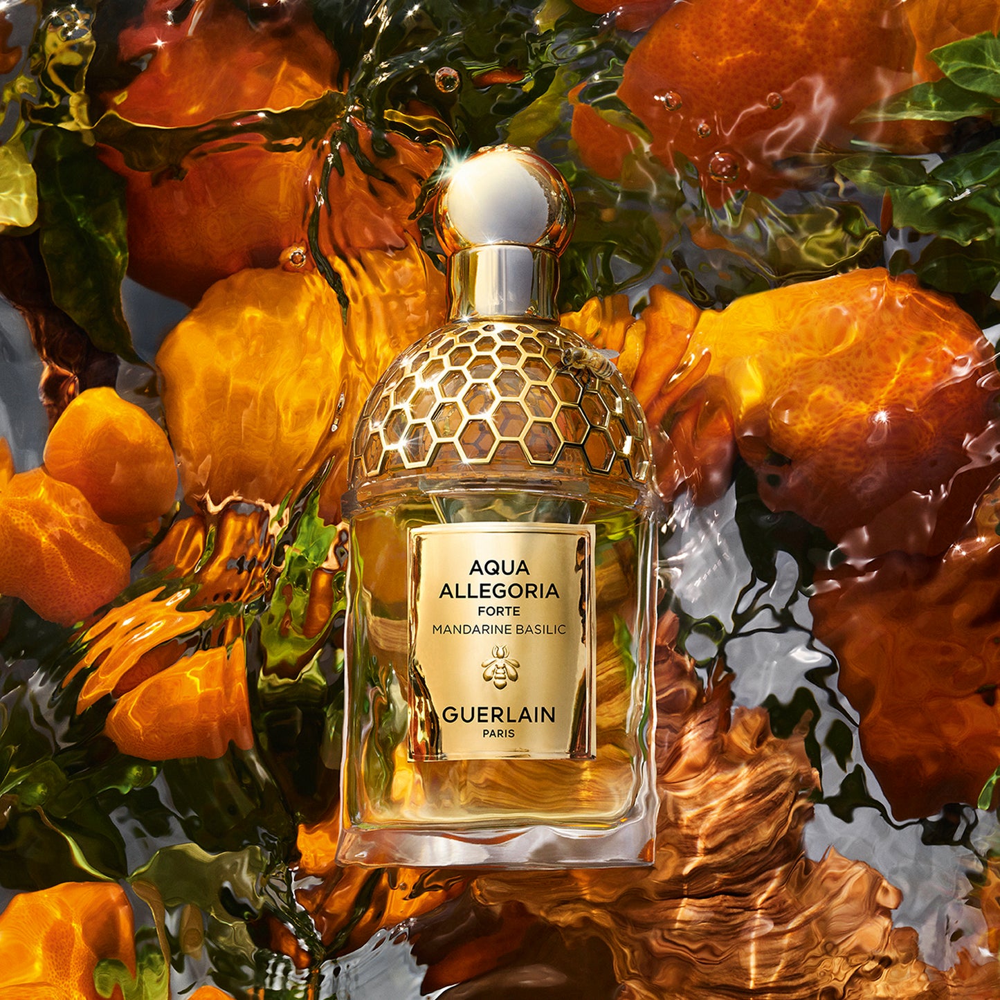 Aqua Allegoria Mandarine Basilic Forte Confezione
