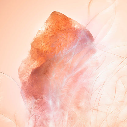 Infiniment Coty Paris Entre Genres Parfum