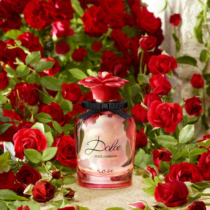 Dolce Rose