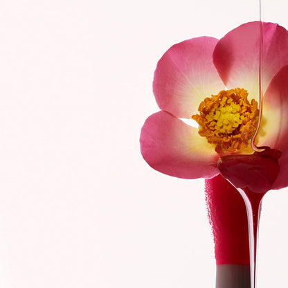 Lip Comfort Oil N. 28 ROSY GRACE