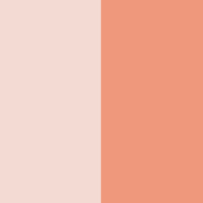 Prisme Blush N°5 Spirit