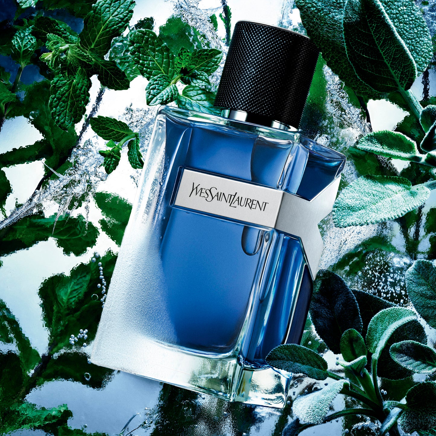 Y Men Iced Cologne Eau de Toilette Intense