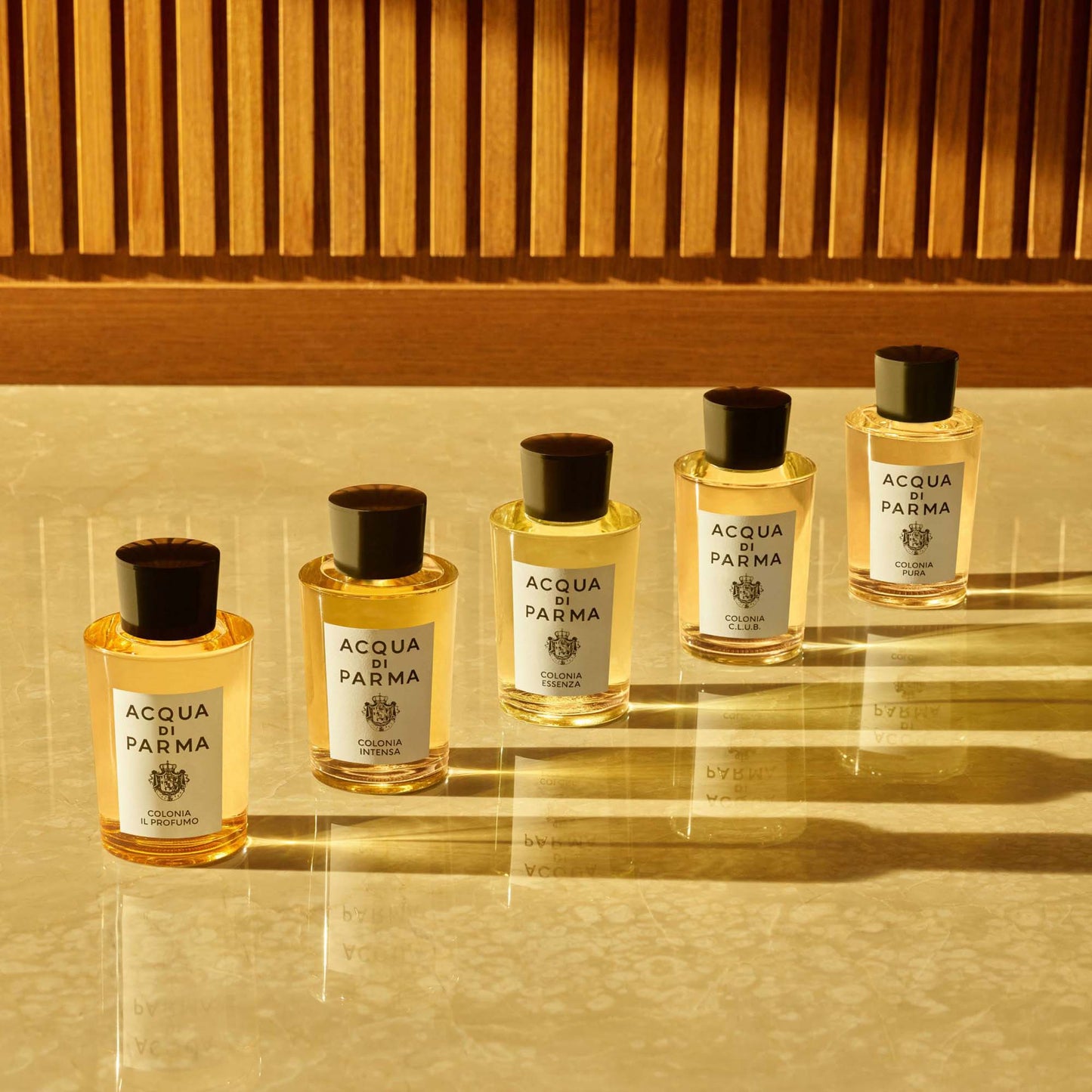 Acqua di Parma Colonia Intensa