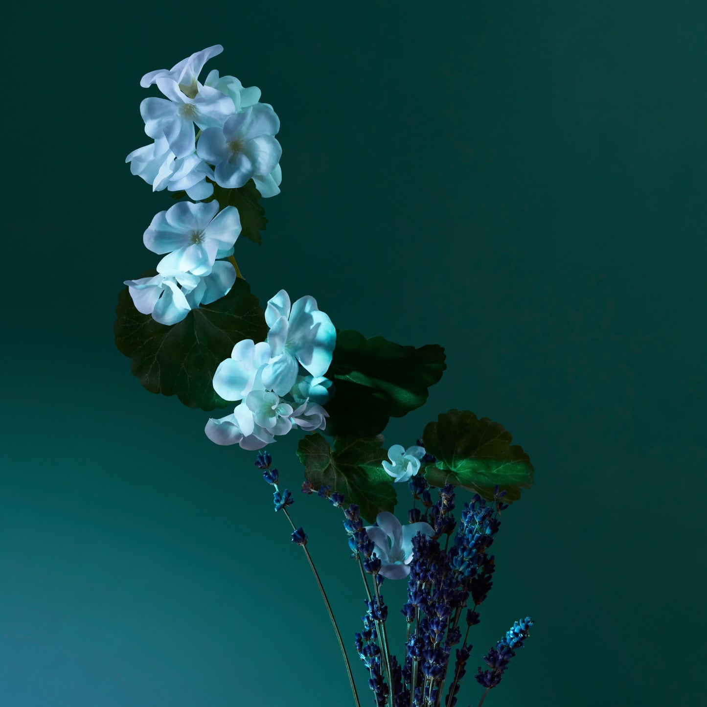 Penhaligon's A Balm of Calm - Potions