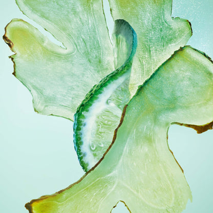 Infiniment Coty Paris Matin de Jade Parfum