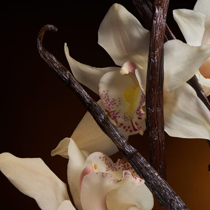 The One Eau de Parfum Intense