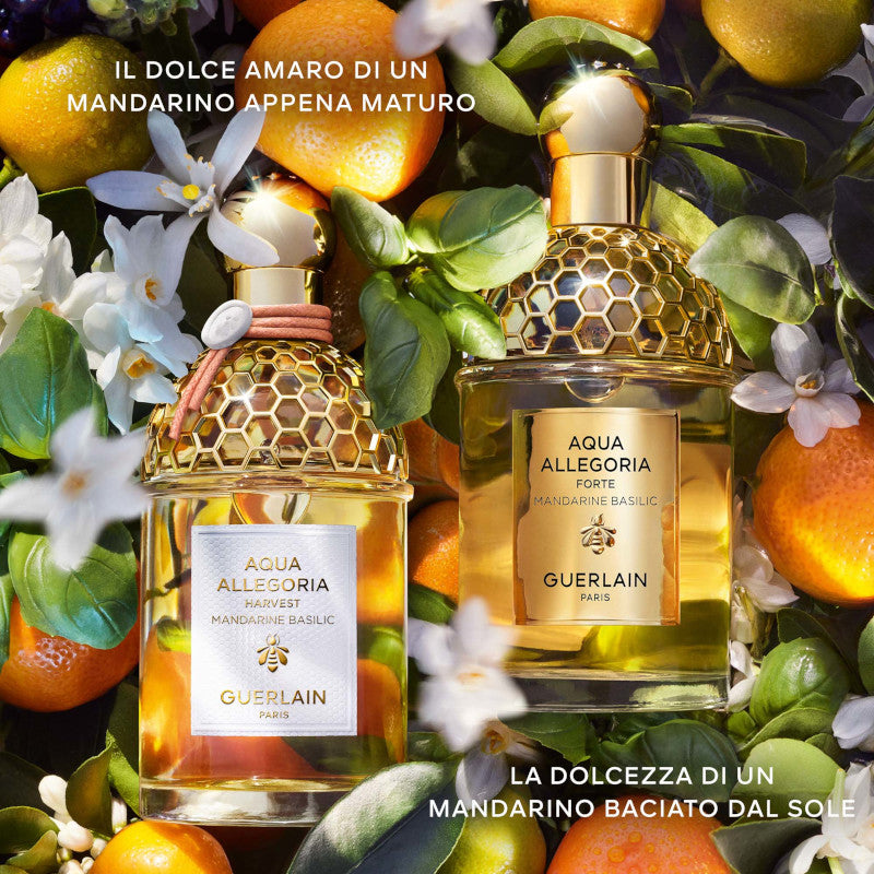 Aqua Allegoria Mandarine Basilic Harvest