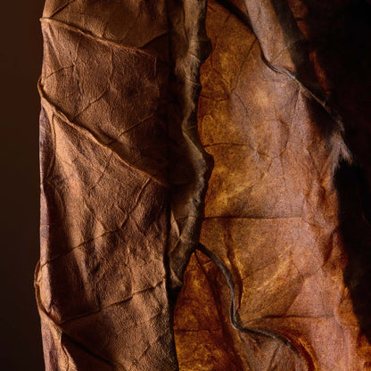 Infiniment Coty Paris Après L'Amour Parfum Ricarica