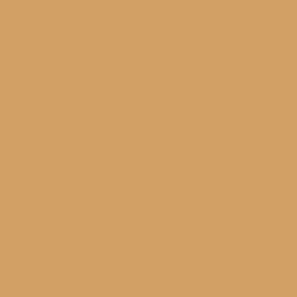 Double Wear Stay in Place Powder Foundation SPF 10*
