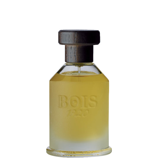 Bois 1920 I TRADIZIONALI - Vetiver Ambrato EDT 100 ML