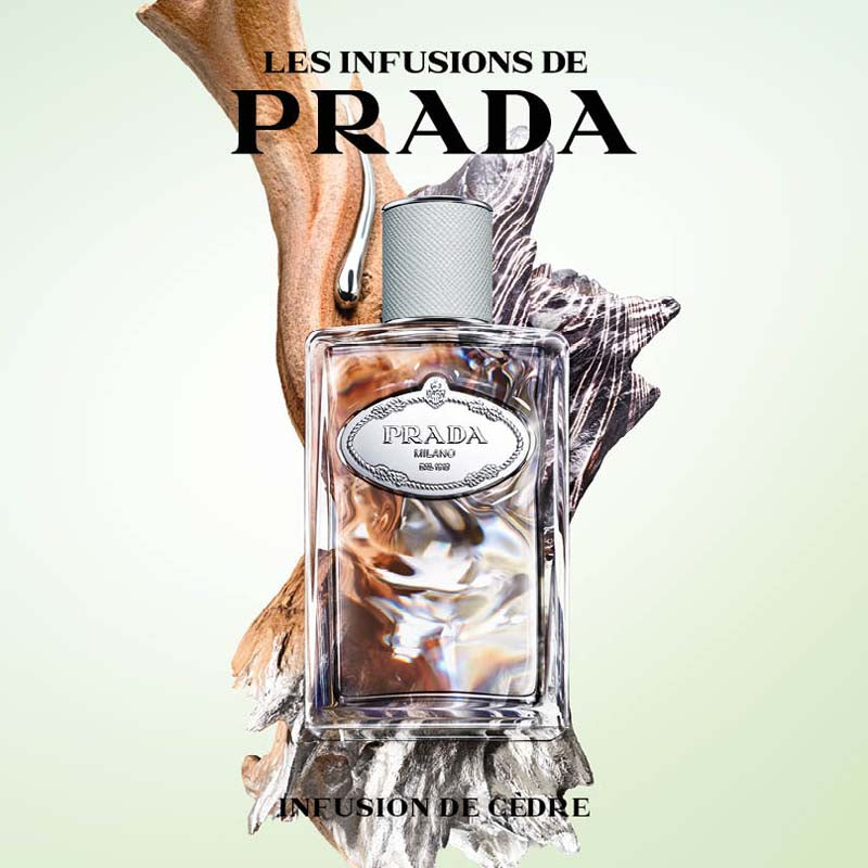 Les Infusions - Infusion de Cèdre 100 ML