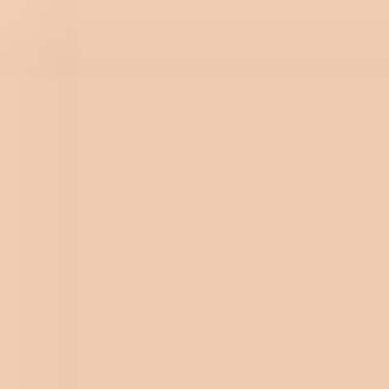 Terracotta - Le Teint