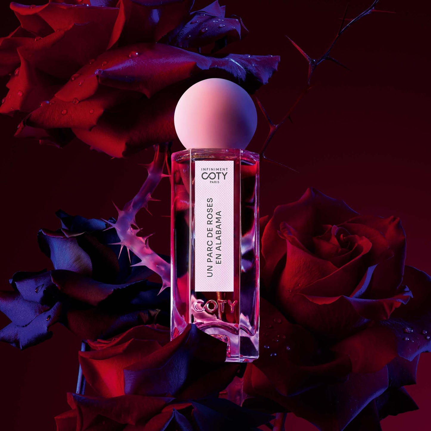 Infiniment Coty Paris Un Parc de Roses En Alabama Parfum