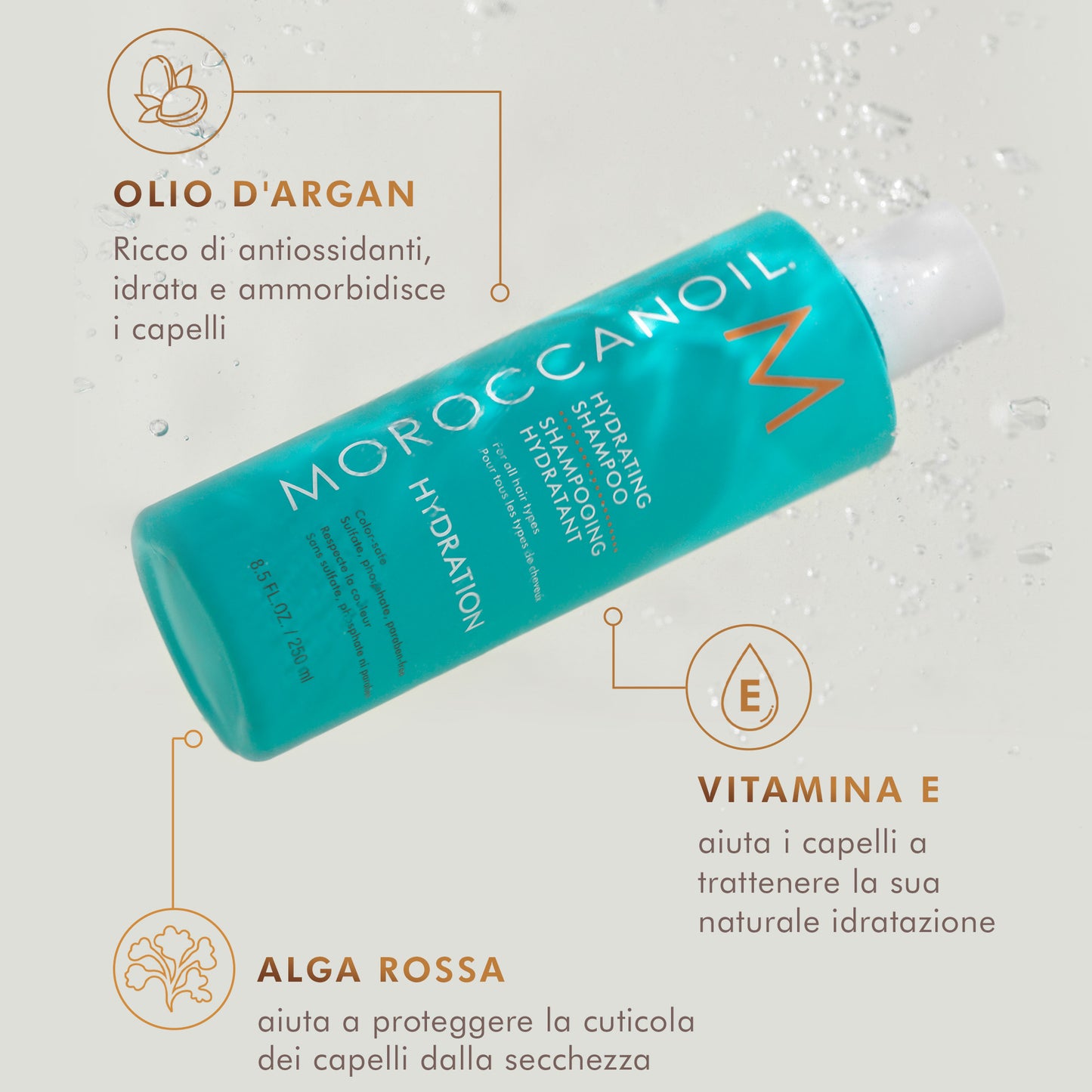 Moroccanoil Hydration Shampoo