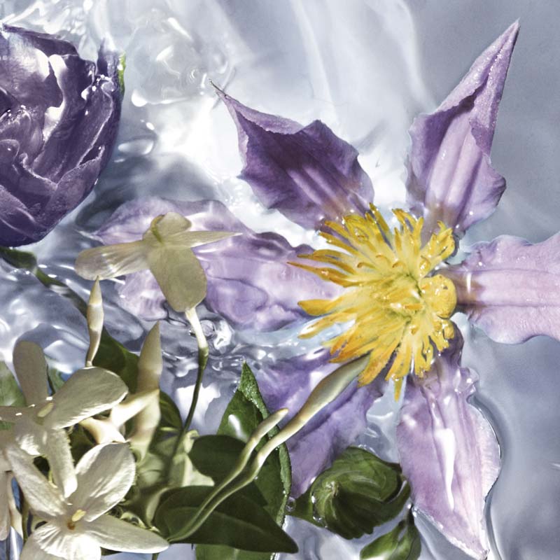 Aqua Allegoria Flora Salvaggia*