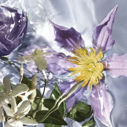 Aqua Allegoria Flora Salvaggia*