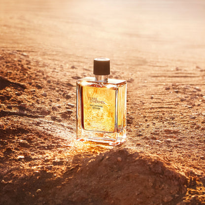 Terre d'Hermès Eau Intense Vetiver