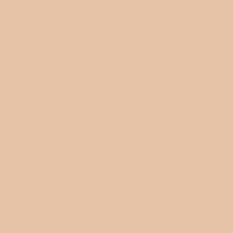 Skin Long-Wear Weightless Foundation SPF 15 C-024 Ivory