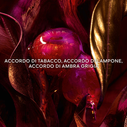 Absolus Allegoria Tabac Sahara