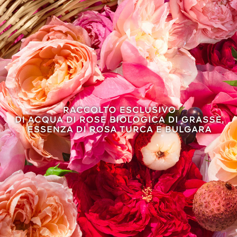 Aqua Allegoria Rosa Rossa Harvest