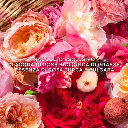 Aqua Allegoria Rosa Rossa Harvest