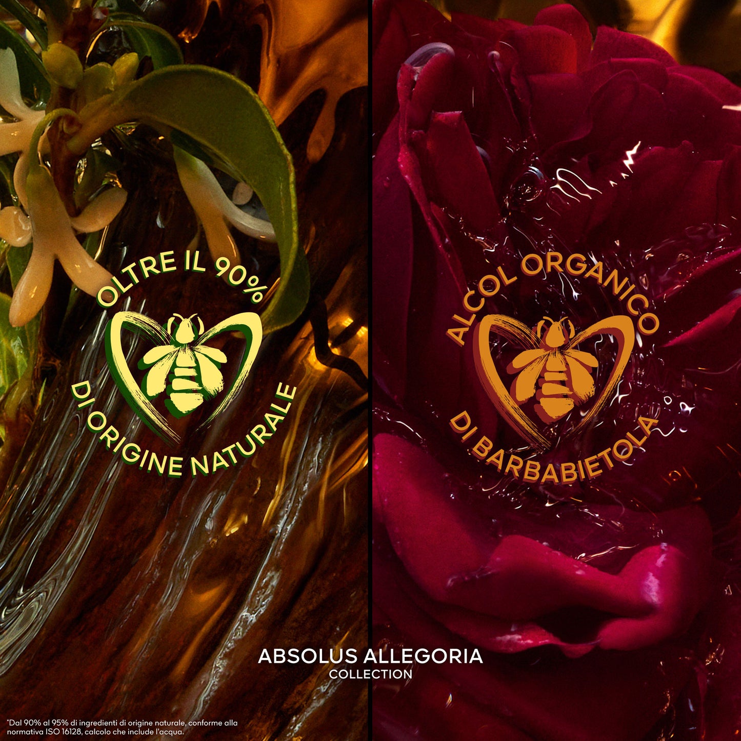 Absolus Allegoria Ambre Samar