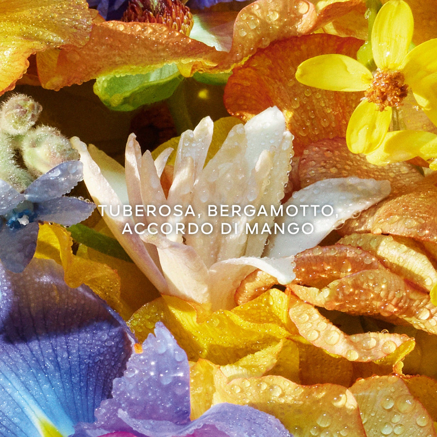 Aqua Allegoria Florabloom Crème pour les mains