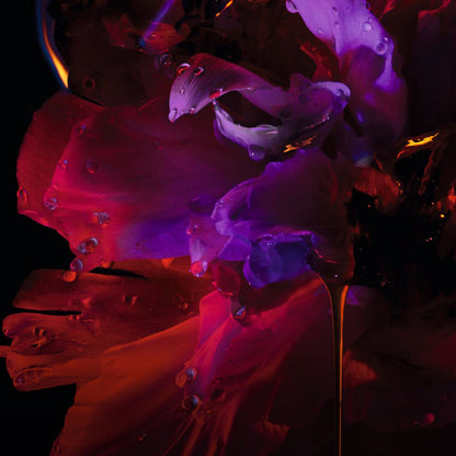 Hypnotic Poison Perfumed Deodorant