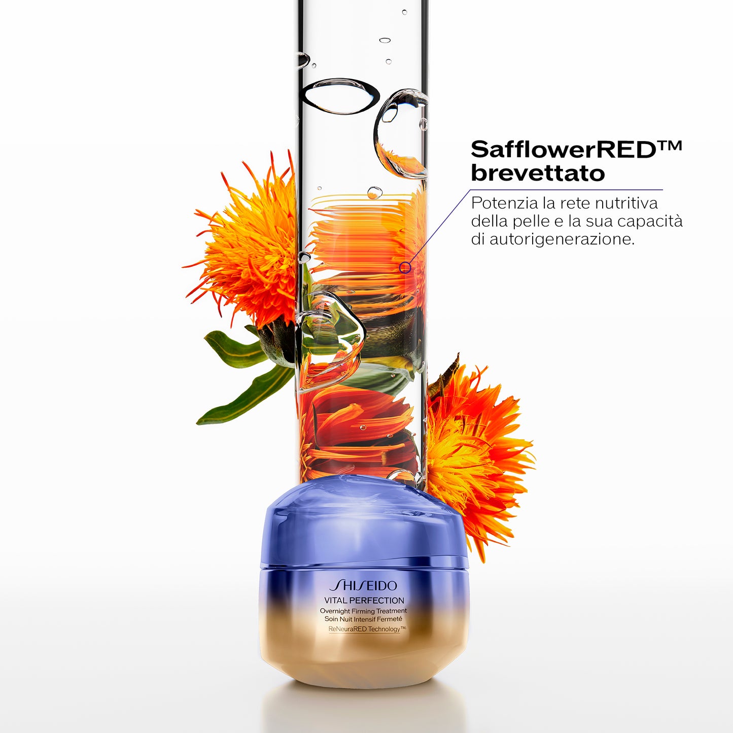 Vital Perfection - Overnight Firming Treatment