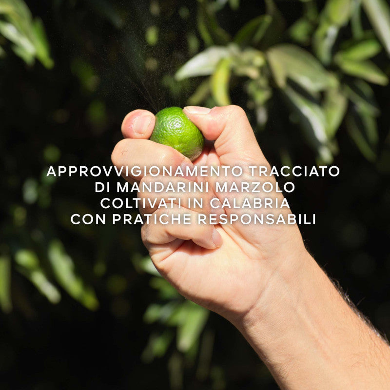 Aqua Allegoria Mandarine Basilic Harvest